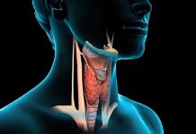 Thyroid Removal Can Trigger Risky Side Effects