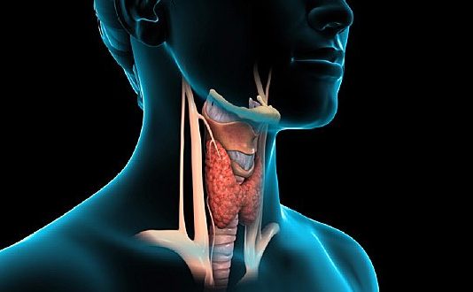 Thyroid Removal Can Trigger Risky Side Effects