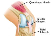 Bones Are Growing Faster — How Could This Affect You?