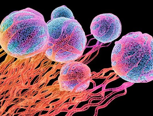 People With Cancer May Face Greater Shingles Risk.