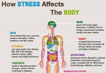 How Stress Affects Your Health