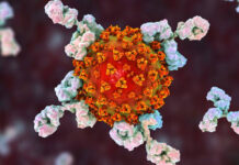 वैज्ञानिकों ने बनाया कोरोना वायरस प्रोटीन का नया प्रारूप