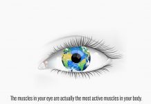 डॉ. भीमराव अम्बेडकर स्मृति चिकित्सालय, रायपुर ये आंखें हैं अनमोल… World-Sight-Day