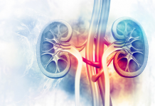 देर से सामने आते हैं क्रॉनिक किडनी डिजीज के लक्षण, खतरे में पड़ सकती है जान : डॉ देबता chronic kidney disease