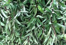 भाजी (greens )