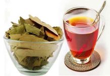 तेजपत्ते का काढ़ा करता हैं कई बिमारियों को दूर, जानें फायदे और बनाने की विधि