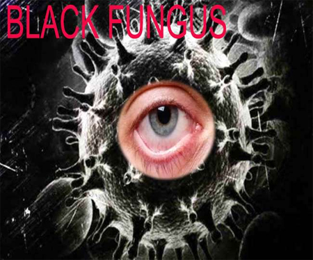 black fungas