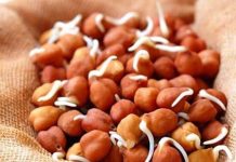 शरीर को मजबूत बनाने खाए भीगे हुए चने, सेहत के लिए होता हैं काफी फायदेमंद