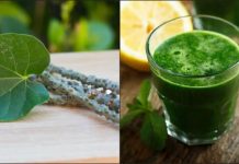 जानें गिलोय का काढ़ा पिने के 5 चमत्कारिक फायदे, जानिए कितनी मात्रा में करें सेवन