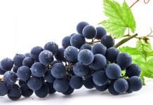 गर्मियों में शरीर को फिट रखने के लिए करें काले अंगूर का उपयोग, जानें 7 प्रकार के फायदे