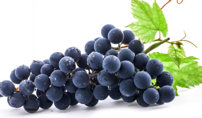 grape-fruit-health-benefits