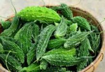 कोरोना काल में शरीर इम्यूनिटी बूस्ट करने के लिए करें करेला का सेवन, अपनाएं ये ट्रिक