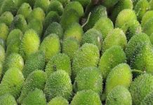 इस सब्जी का सेवन करने मात्र तेजी से बढ़ेगी इम्यूनिटी, पुरुषों की सेहत के लिए है वरदान