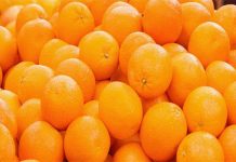 क्या आप इम्युनिटी बढ़ाने के लिए खा रहे हैं संतरा, तो हो जाएं सावधान, जानिए इसके बड़े नुकसान