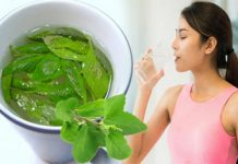 तुलसी का पानी सेवन शरीर के लिए बहुत फायदेमंद, मिलेंगे जबरदस्त फायदे