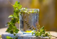 तुलसी के पत्तियों को चबाकर खाना सेहत के लिए हो सकता है नुकसानदायक, जानिए खाने का सही तरीका