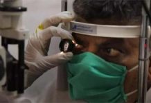 देश में येलो फंगस का कहर, जानें इसके फैलने की वजहें और लक्षण